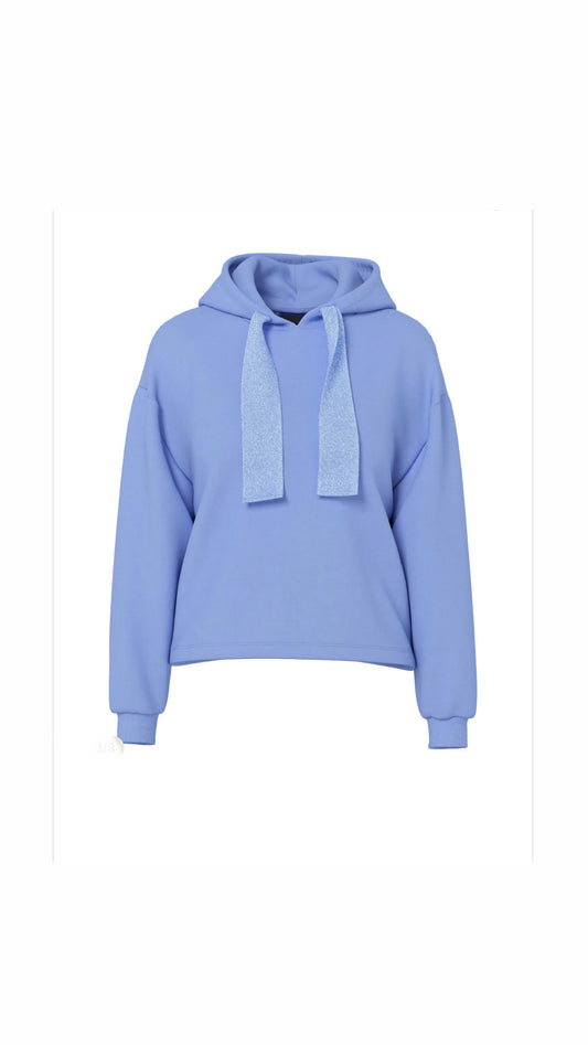 PCCHILLI LS GLITTER HOODIE NOOS BC