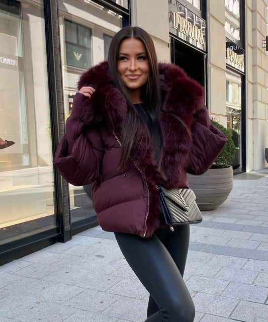 Asston jacket Bordeaux   - FC7629