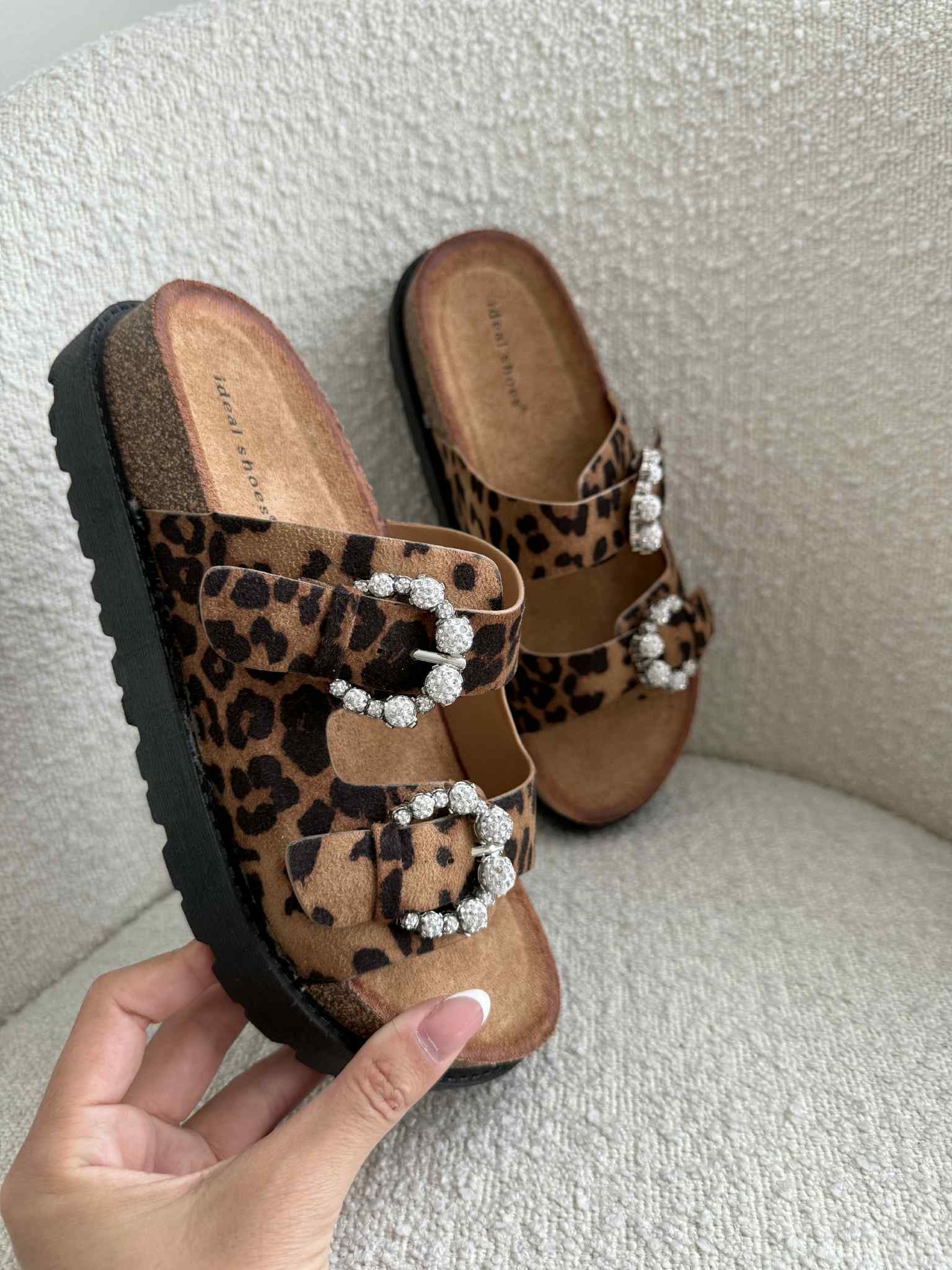 Kleo slippers Leo - 3885
