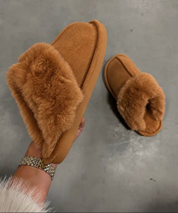 Rozza sutsko camel  - SG-2