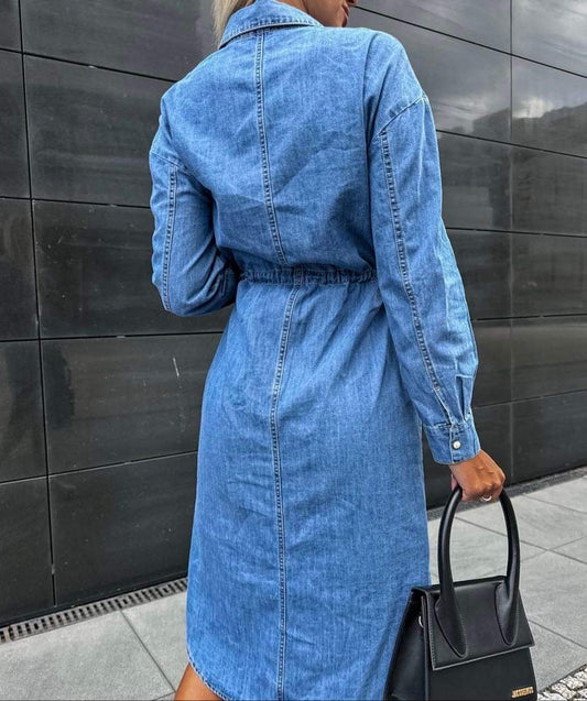 Eliss denim dress 556